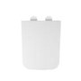 Wall Hung Rimless Toilet with Tornado Flush and Soft Close Seat - Albi