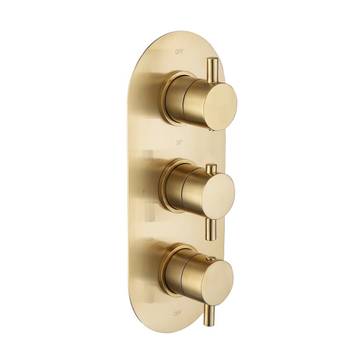 Brushed Brass 2 Outlet Wall Mounted Thermostatic Mixer Shower Set With Hose - Arissa