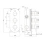 Brushed Brass 2 Outlet Wall Mounted Thermostatic Mixer Shower Set With Hose - Arissa