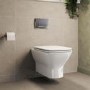 Wall Hung Rimless Toilet with Soft Close Seat, Chrome Pneumatic Flush Plate, 820mm Frame & Cistern – Palma
