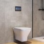 Wall Hung Toilet, 1160mm Pneumatic Frame & Cistern & Gunmetal Grey Flush  - Austin