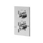 Chrome Concealed Shower Mixer with Dual Control & Slim Square Ceiling Mounted Head - EcoStyle