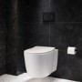 Wall Hung Rimless Toilet with Soft Close Seat - Alcor