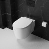 Wall Hung Toilet with Soft Close Seat Frame Cistern and Black Flush - Alcor