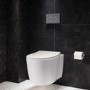 Wall Hung Toilet with Soft Close Seat Frame Cistern and Chrome Flush - Alcor