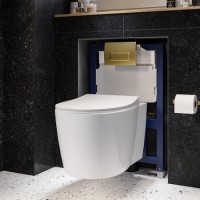 Wall Hung Toilet with Soft Close Seat Brushed Brass Pneumatic Flush Plate 820mm Frame & Cistern - Alcor