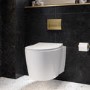 Wall Hung Toilet with Soft Close Seat Brushed Brass Pneumatic Flush Plate 820mm Frame & Cistern - Alcor