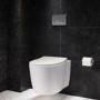 Wall Hung Toilet with Soft Close Seat Chrome Pneumatic Flush Plate 1170mm Frame & Cistern - Alcor