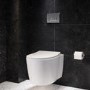 Wall Hung Toilet with Soft Close Seat Brushed Brass Pneumatic Flush Plate 1170mm Frame & Cistern - Alcor