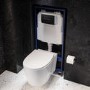 Wall Hung Toilet with Close Seat Matt Black Pneumatic Flush Plate 1170mm Frame & Cistern - Alcor