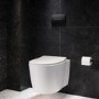 Wall Hung Toilet with Close Seat Matt Black Pneumatic Flush Plate 1170mm Frame & Cistern - Alcor