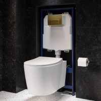 Wall Hung Toilet with Soft Close Seat Brushed Brass Pneumatic Flush Plate 1170mm Frame & Cistern - Alcor