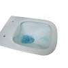 Wall Hung Toilet with Soft Close Seat Wall Hanging Frame Cistern and Black Flush Plate - Santiago