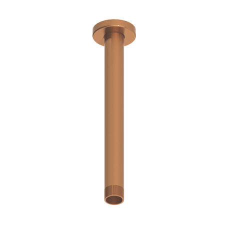 250mm Brushed Bronze Round Rainfall Shower Head with Ceiling Arm