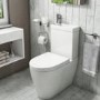 GRADE A1 - Legend Combined Two in One Toilet and Basin with Tap