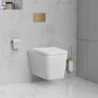 Wall Hung Toilet with Soft Close Seat Cistern Frame and Brass Flush - Evan
