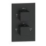 Black Single Outlet Wall Mounted Thermostatic Mixer Shower Set  - Zana