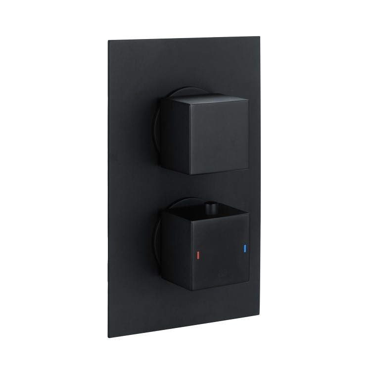 Black 2 Outlet Concealed Thermostatic Shower Valve with Dual Control - Zana