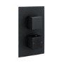 Black 2 Outlet Concealed Thermostatic Shower Valve with Dual Control - Zana
