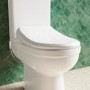 Close Coupled Toilet with Smart Bidet Toilet Seat