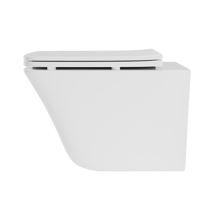 Wall Hung Rimless Toilet  - Includes Cistern Wall Hung Frame Soft Close Seat and Brushed Brass Flush Plate - Boston