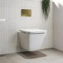 Wall Hung Toilet with Soft Close Seat Brushed Brass Pneumatic Flush Plate 820mm Frame & Cistern - Boston