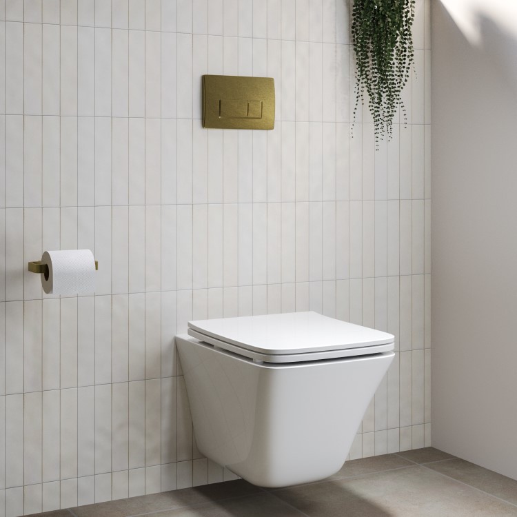 Wall Hung Rimless Toilet with Soft Close Seat and Brushed Brass Pneumatic Flush Plate, 1168mm Frame & Cistern – Boston