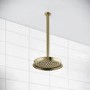 230mm Brushed Brass Traditional Shower Head with Ceiling Arm