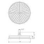 230mm Brushed Brass Traditional Shower Head with Ceiling Arm