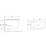 White Wall Hung Toilet with Soft Close Seat Frame Cistern and Brass Flush- Newport