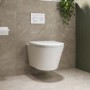 Wall Hung Rimless Toilet with Soft Close Seat, White Glass Sensor Flush Plate, 820mm Frame & Cistern – Newport