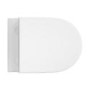 Wall Hung Toilet with Soft Close Seat Chrome Mechanical Flush Plate with 1160mm Frame & Cistern - Newport