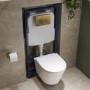 Wall Hung Toilet with Soft Close Seat Brushed Brass Mechanical Flush Plate with 1160mm Frame & Cistern - Newport