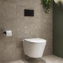 Wall Hung Toilet with Close Seat Matt Black Pneumatic Flush Plate 1170mm Frame & Cistern - Newport