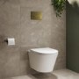 Wall Hung Rimless Toilet with Soft Close Seat, Brushed Brass Pneumatic Flush Plate, 1168mm Frame & Cistern – Newport