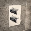 Concealed Dual Control Thermostatic Shower Valve &amp; Freeflow Bath Filler with Push Button Waste &amp; Overflow