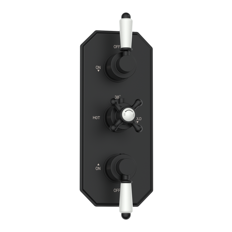 Black 2 Outlet  Ceiling Mounted Thermostatic Mixer Shower Set with Hand Shower - Cambridge