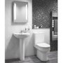 Arc Toilet & Basin Bathroom Suite