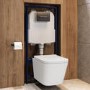 Wall Hung Toilet with Soft Close Seat, Gunmetal Flush Plate, 1168mm Frame & Cistern - Albi