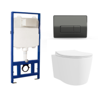 Wall Hung Toilet with Soft Close Toilet Seat, Gunmetal Pneumatic Flush Plate, 820mm Frame & Cistern - Alcor