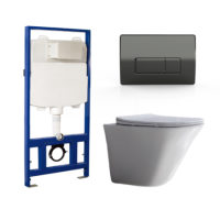 Wall Hung Toilet with Soft Close Toilet Seat, Gunmetal Pneumatic Flush Plate, 1168mm Frame & Cistern - Boston