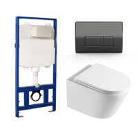 Matt White Wall Hung Toilet with Soft Close Toilet Seat, Gunmetal Pneumatic Flush Plate, 1168mm Frame & Cistern - Newport