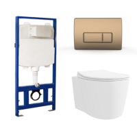 Wall Hung Toilet with Soft Close Toilet Seat, Brushed Bronze Pneumatic Flush Plate, 1168mm Frame & Cistern - Alcor
