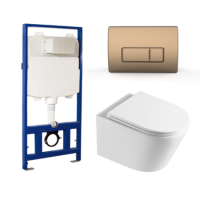 Matt White Wall Hung Toilet with Soft Close Toilet Seat, Brushed Bronze Pneumatic Flush Plate, 1168mm Frame & Cistern - Newport