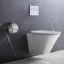 Wall Hung Toilet with Soft Close Toilet Seat, Gunmetal Pneumatic Flush Plate, 1168mm Frame & Cistern - Boston