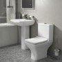Lavender Toilet & Basin Bathroom Suite