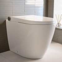 Back to Wall Smart Bidet Japanese Toilet - Purificare