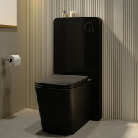 Black Back to Wall Toilet with Black Glass Cabinet, Cistern & Pneumatic Dual Flush Button - Albi