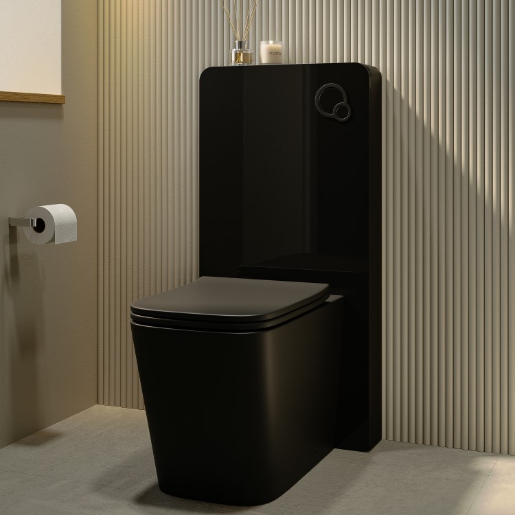 Black Back to Wall Toilet with Black Glass Cabinet, Cistern & Pneumatic Dual Flush Button - Albi