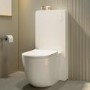 Back to Wall Toilet with White Glass Cabinet, Cistern & Pneumatic Dual Flush Button - Roma